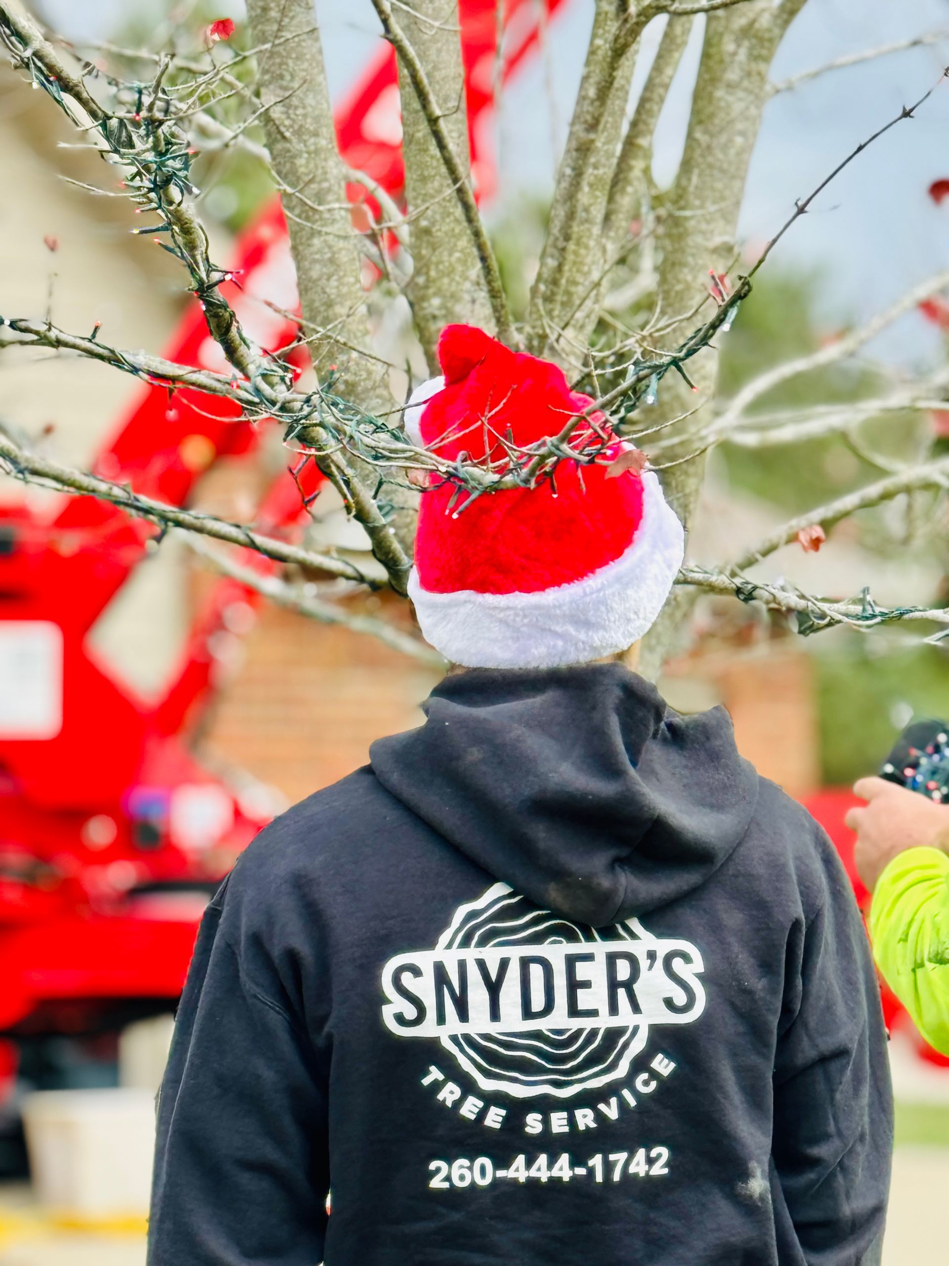Person in Santa hat, wearing Snyder's Tree Service hoodie, trims a tree decorated with lights; red lift in background.