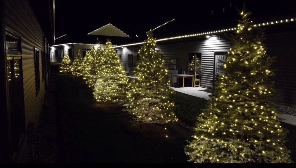 Row of Christmas trees lit with warm white lights, next to a building at night.