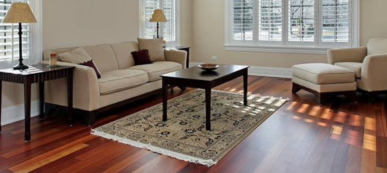 Living room with beige sofa, patterned rug, and dark wood furniture. Sunlight streams through the window.