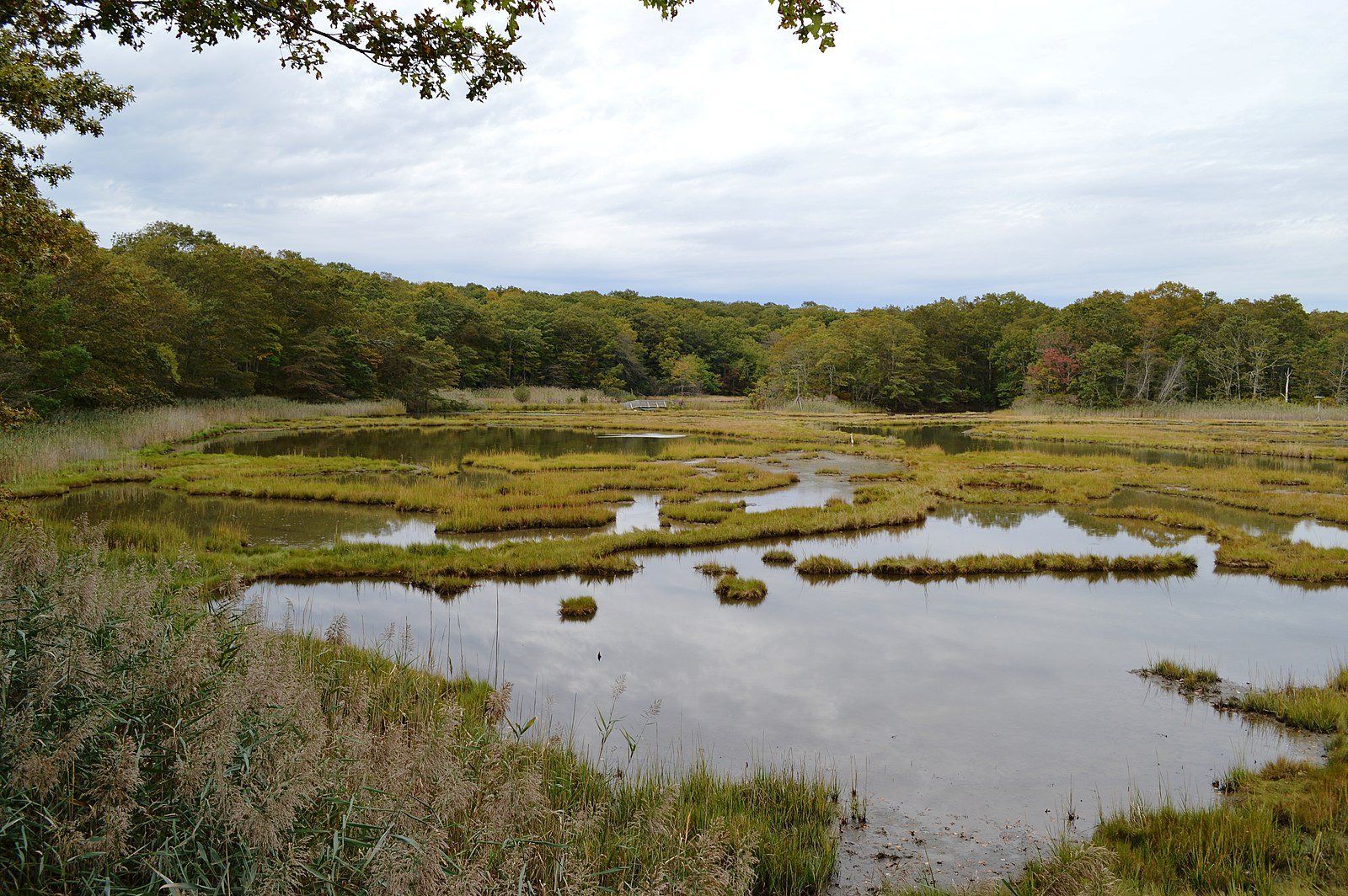 Marshlands just outside East Lyme, CT