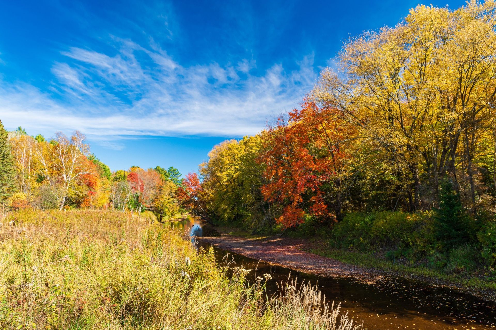 10 Reasons to live in Little Britain
