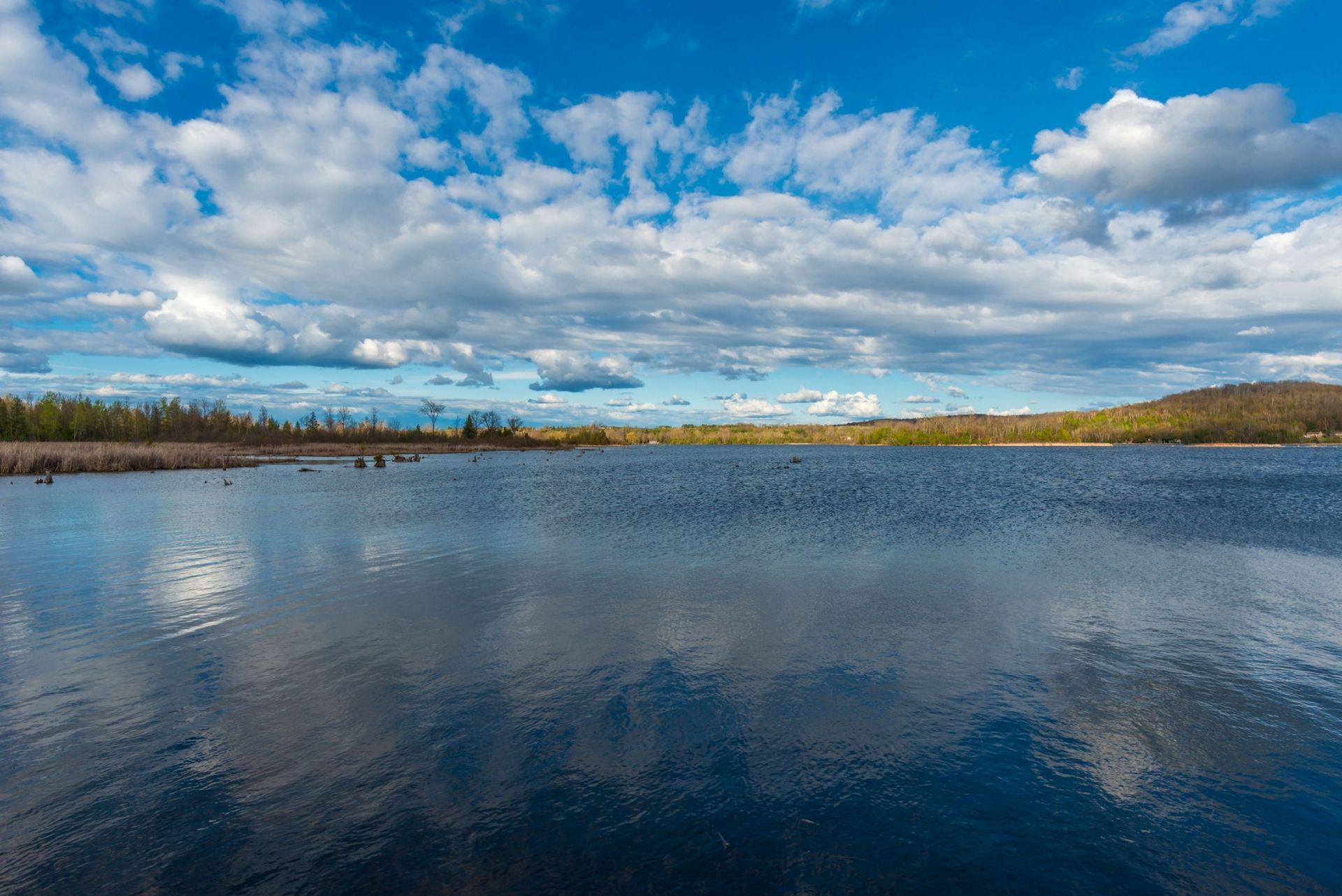 10 Reasons to live in Omemee