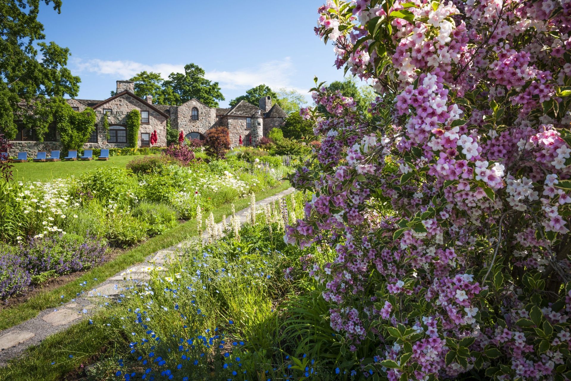 10 Reasons to move to Grafton