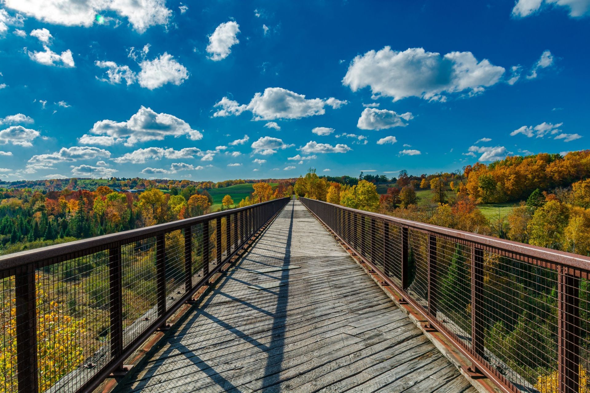 10 Reasons to move to Peterborough