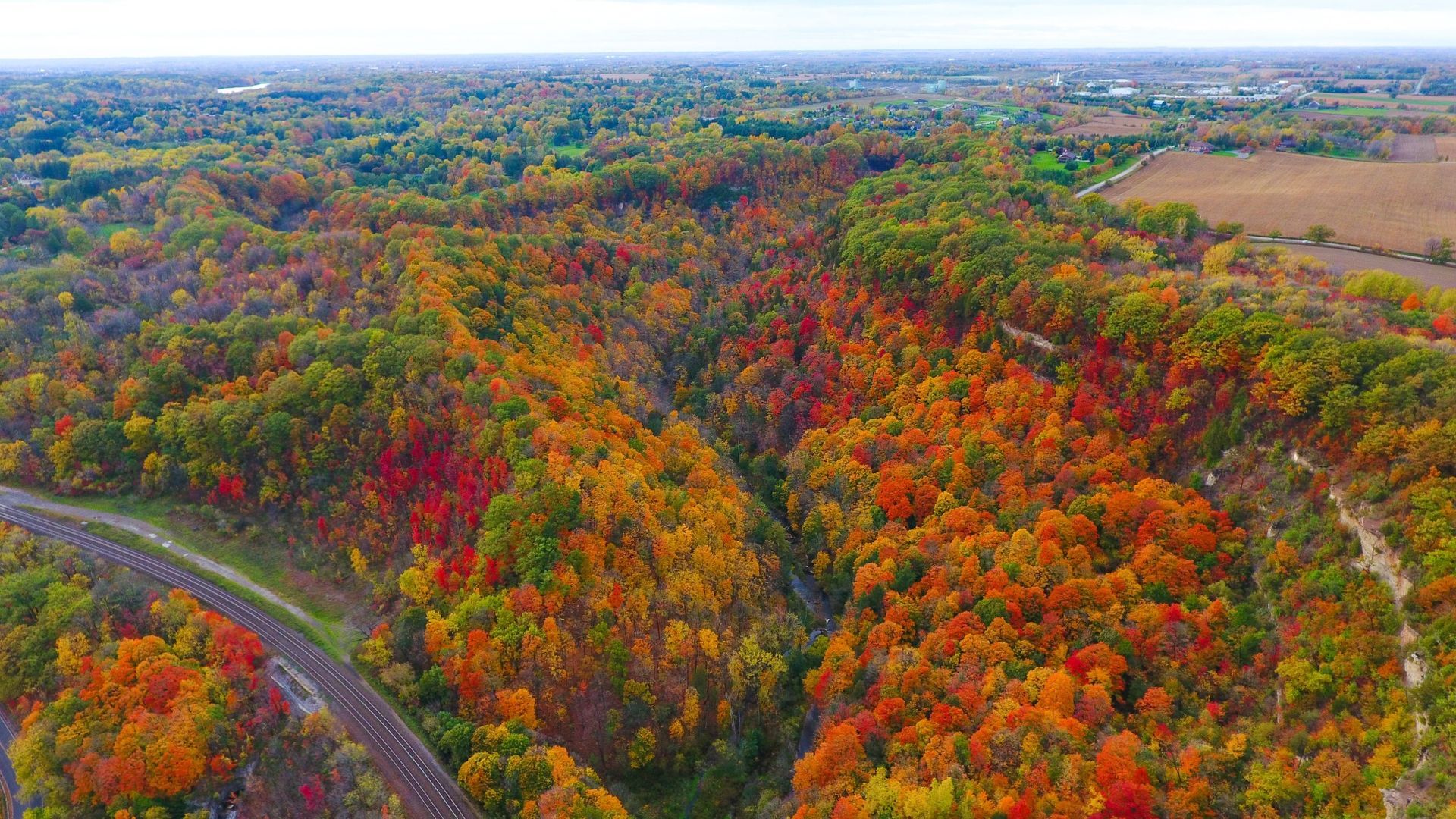 10 Reasons to move to Newtonville