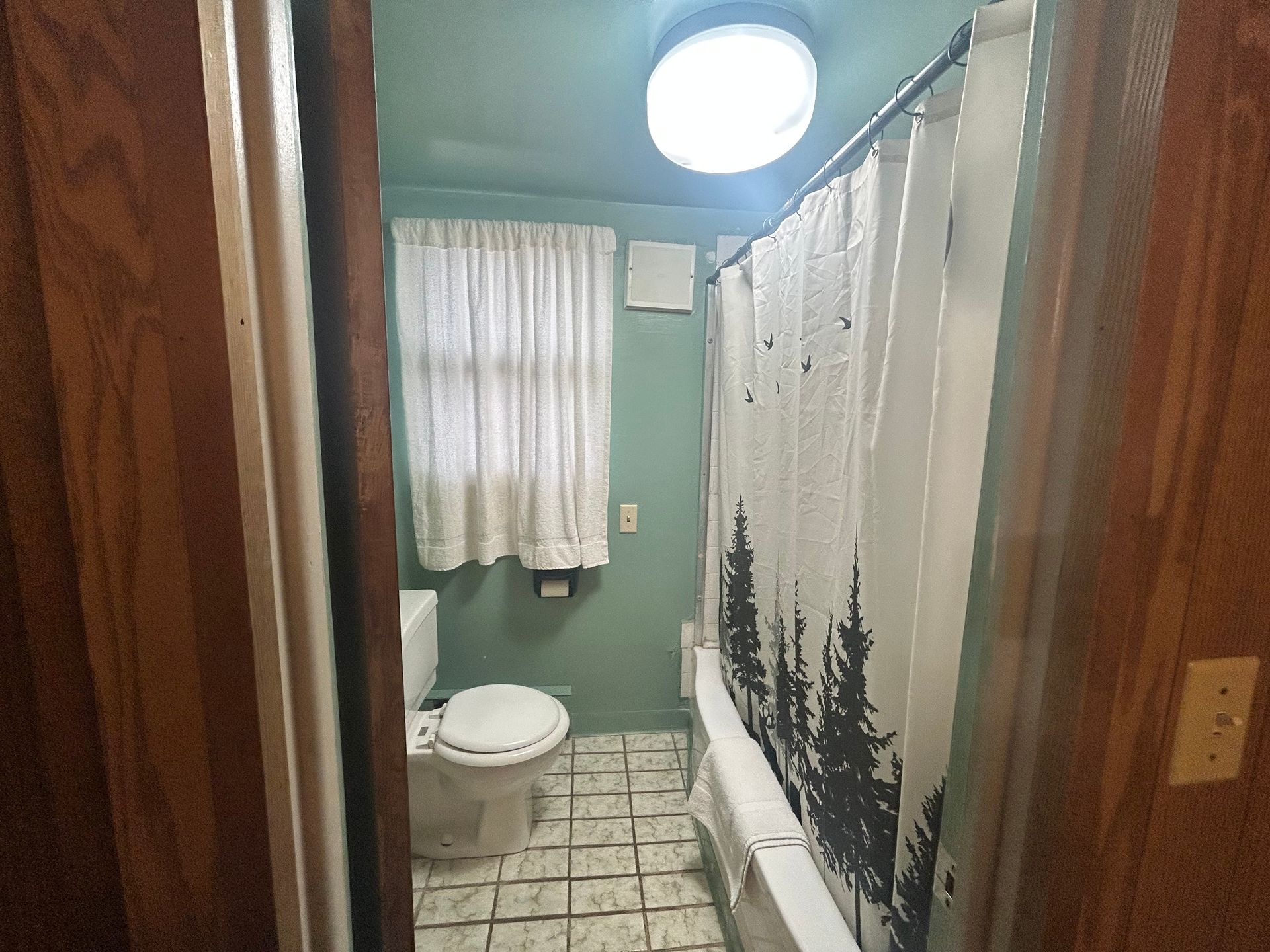 A bathroom with a toilet , shower curtain , and window.