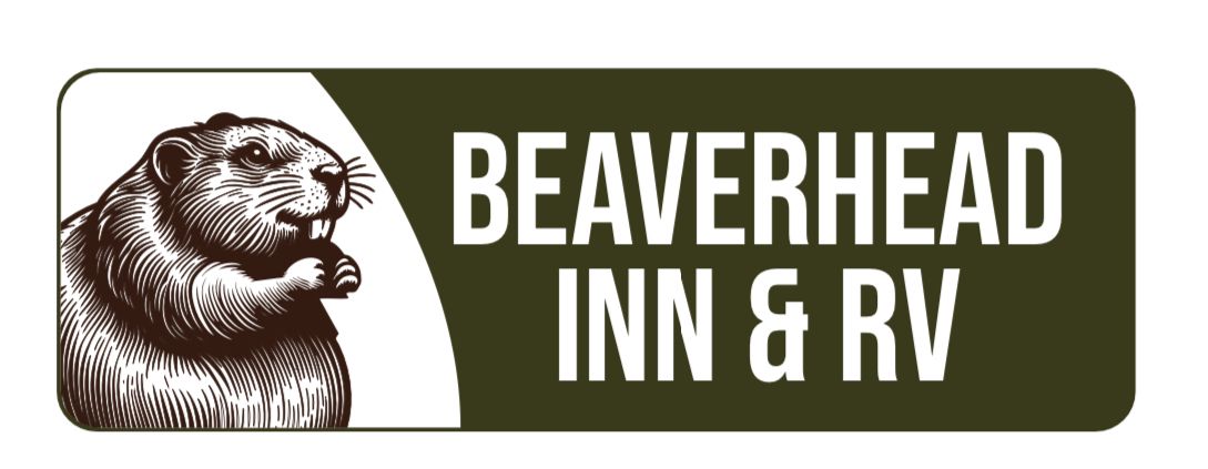 A beaver is holding a cup of coffee in its mouth.