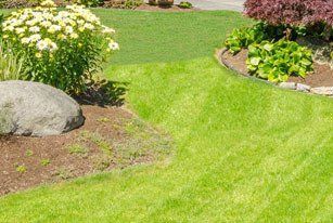 Garden Landscape Design With Tall And Short Shrubs And Flowers