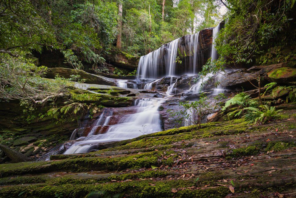 Somersby Falls Coming To Life After The Rain — Professional Cleaner In Somersby, NSW