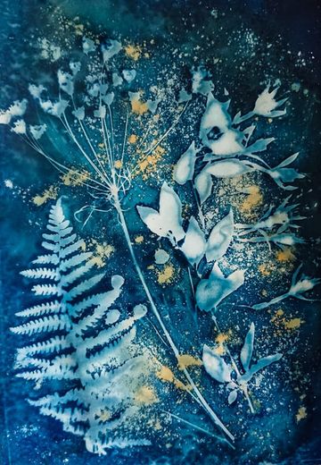 cyanotype designs