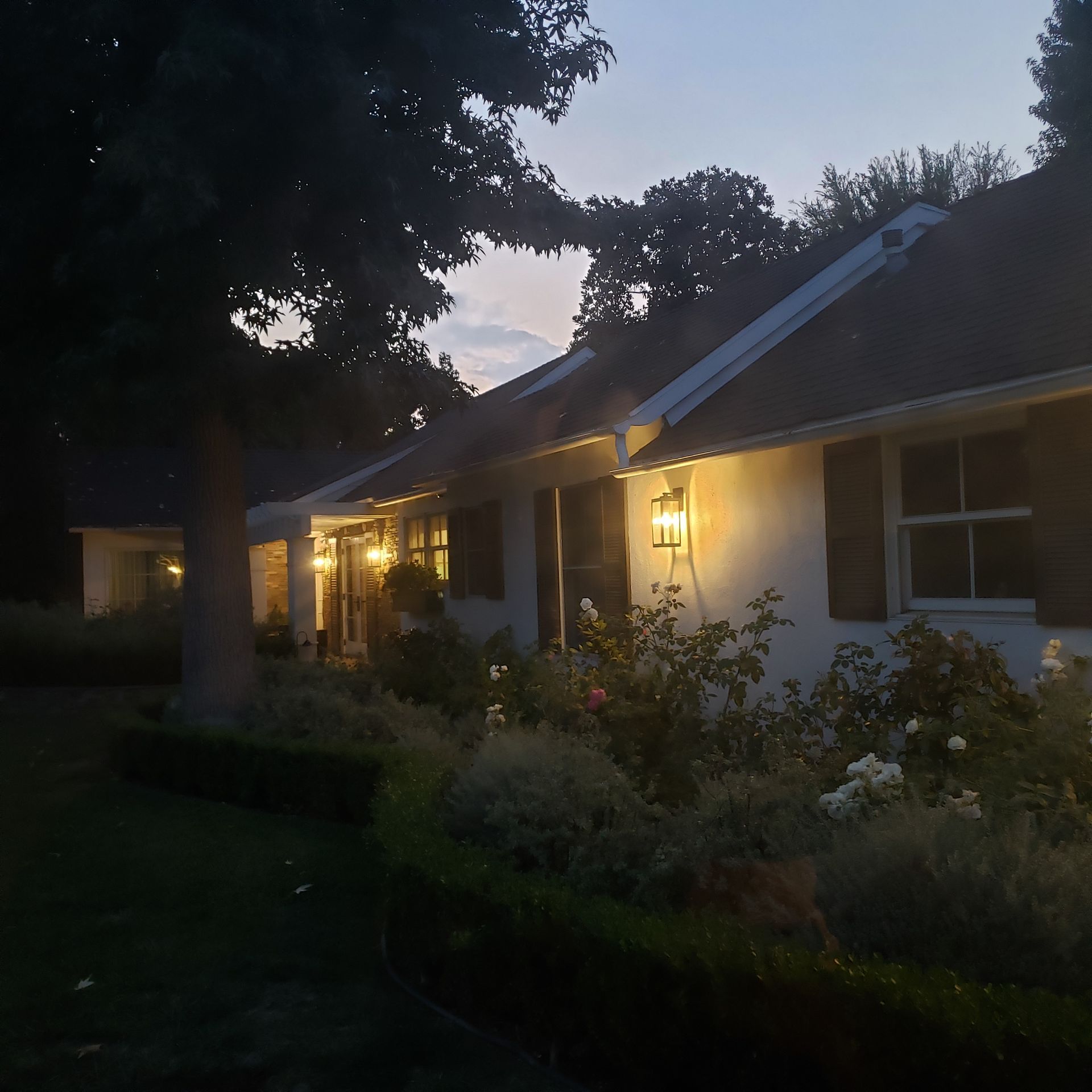 A kitchen with white cabinets , stainless steel appliances , and a large island.