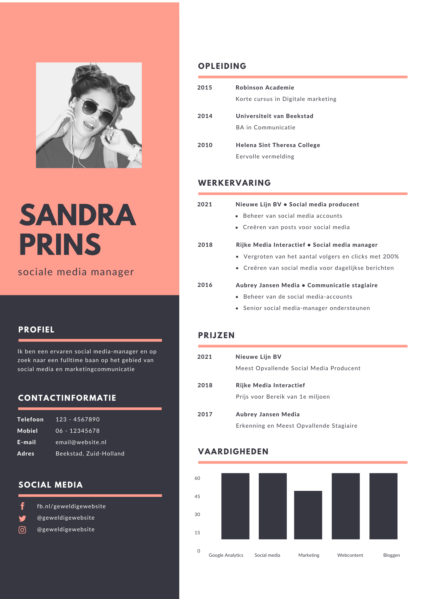 Cv voorbeeld