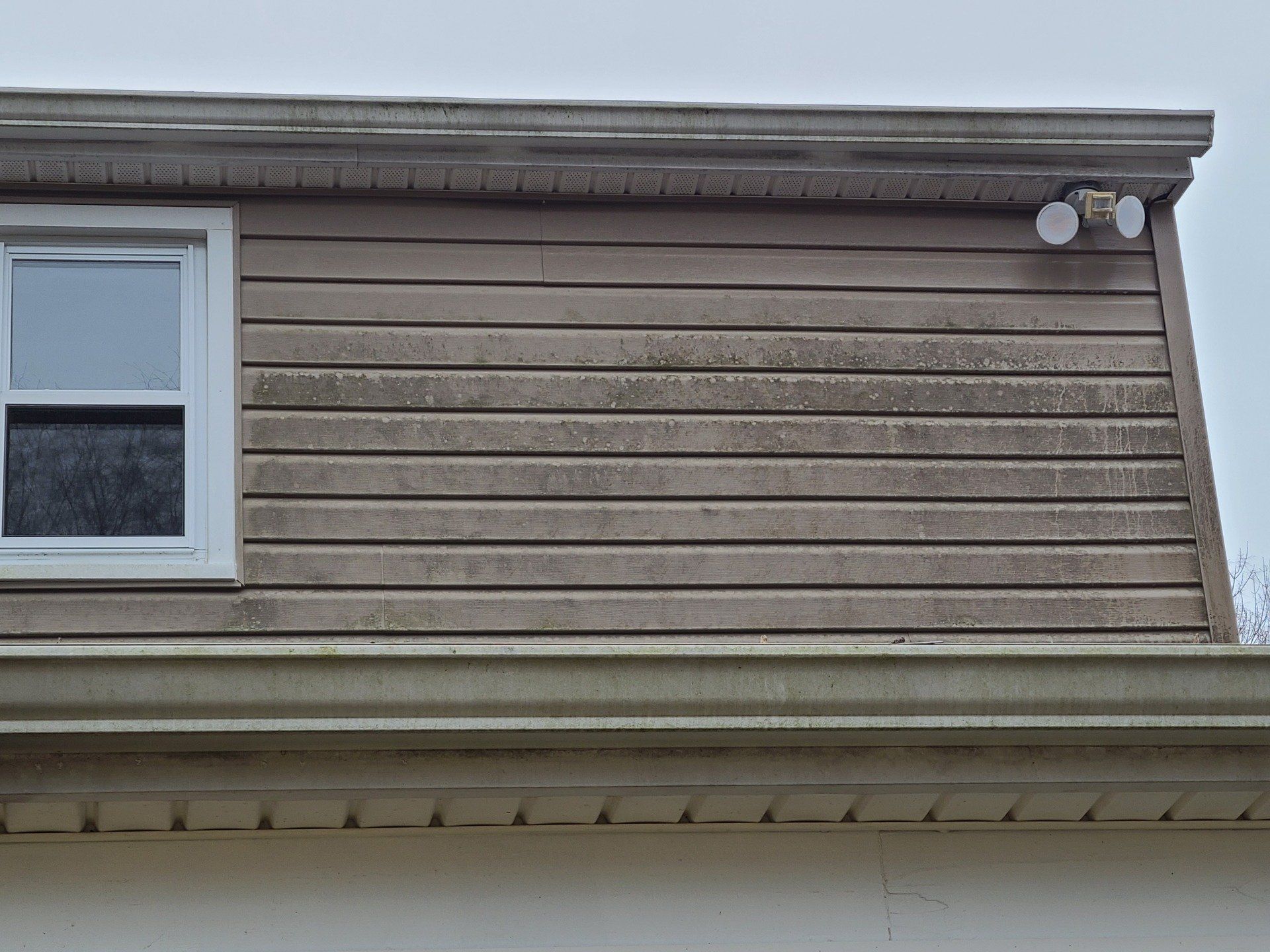 vinyl siding cleaning