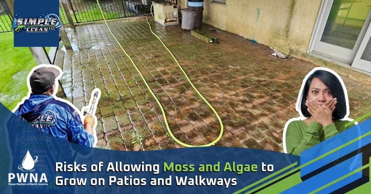 Patio and Walkway Cleaning