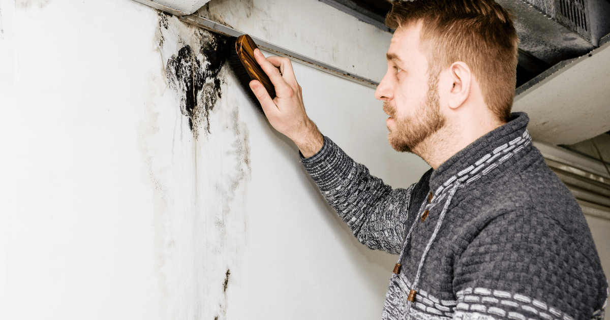 Dangers of Mold After Water Damage