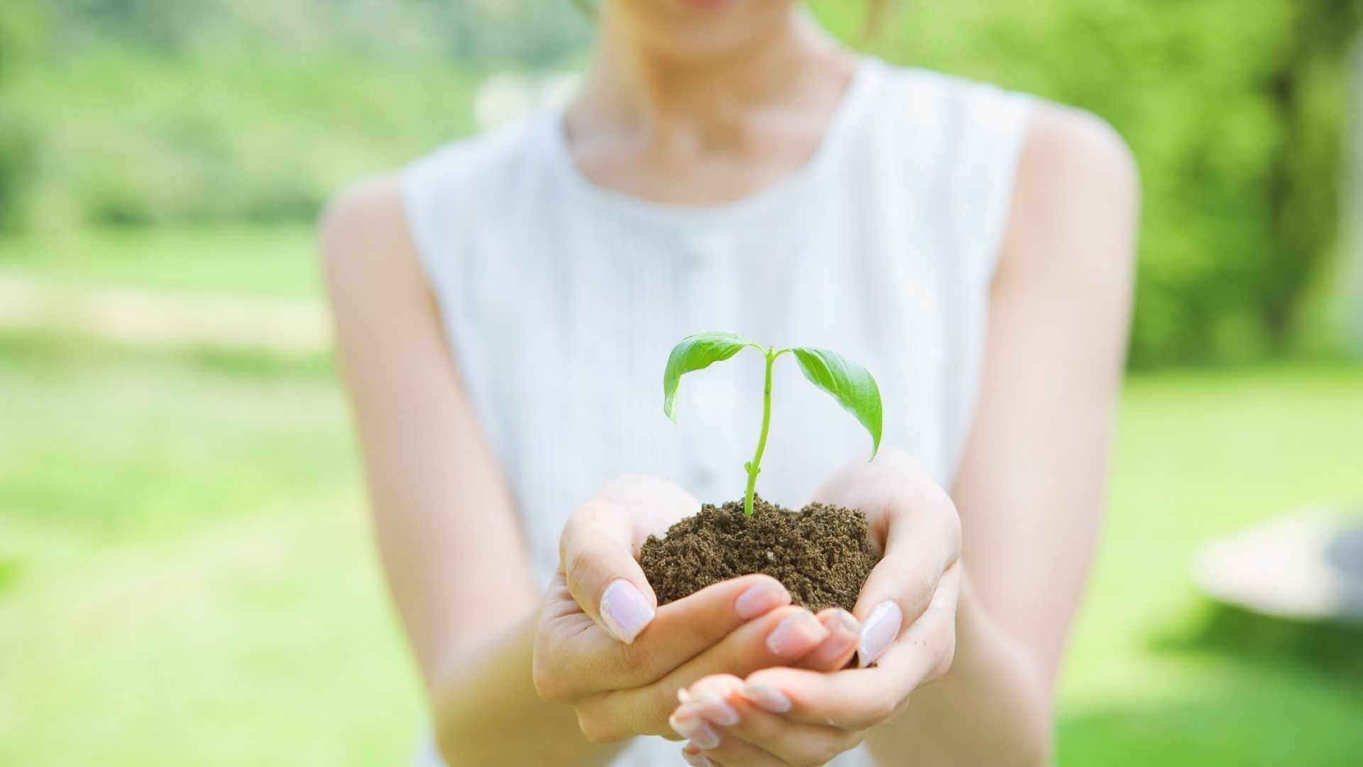 Woman holding a handful of soil with a small plant, outdoors.