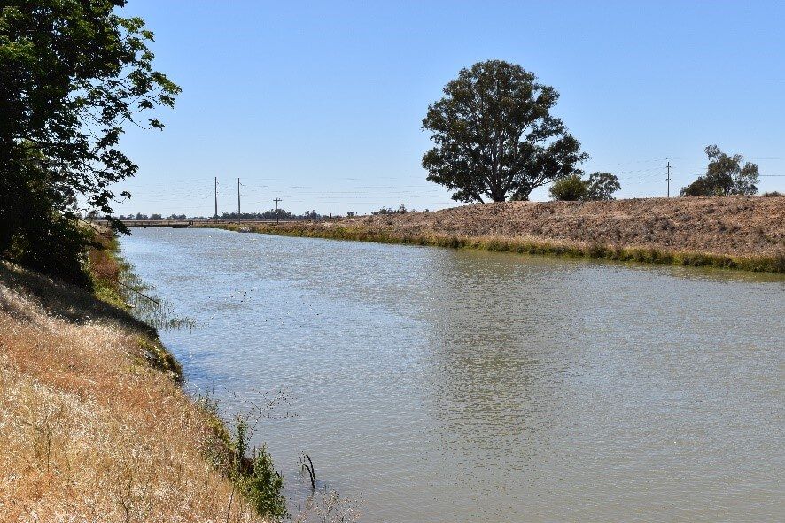 Murray Irrigation Environmental Water Project