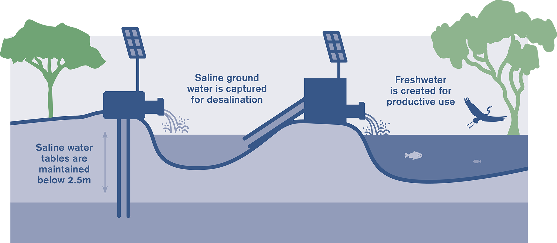 Murray Irrigation Integrated Renewable Energy