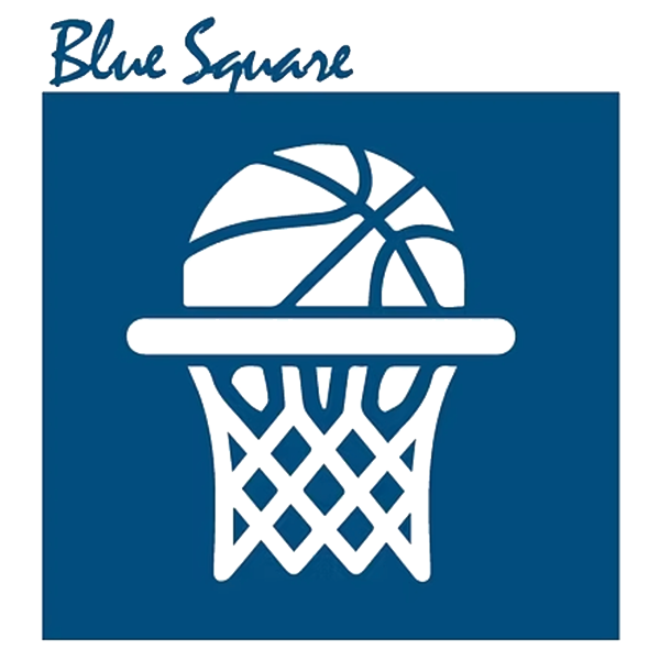 Basketball and net icon, white on blue background, with the words