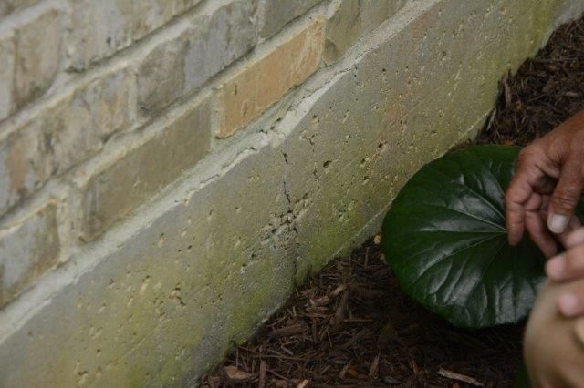 Brick wall next to a concrete ledge, green leaf, and a person's hand.