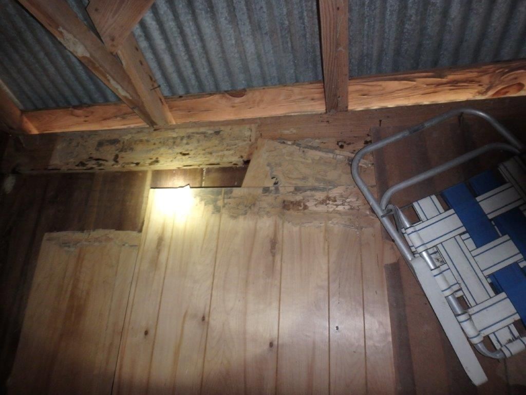 Interior view of a wooden structure showing significant termite damage in the wooden beams and wall.