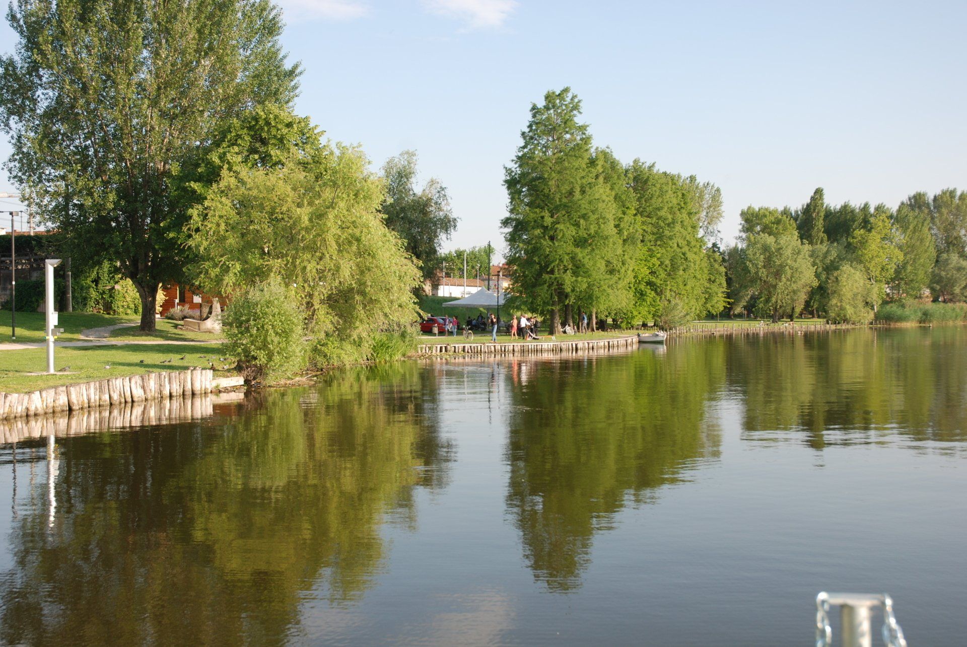sponde dei laghi di Mantova