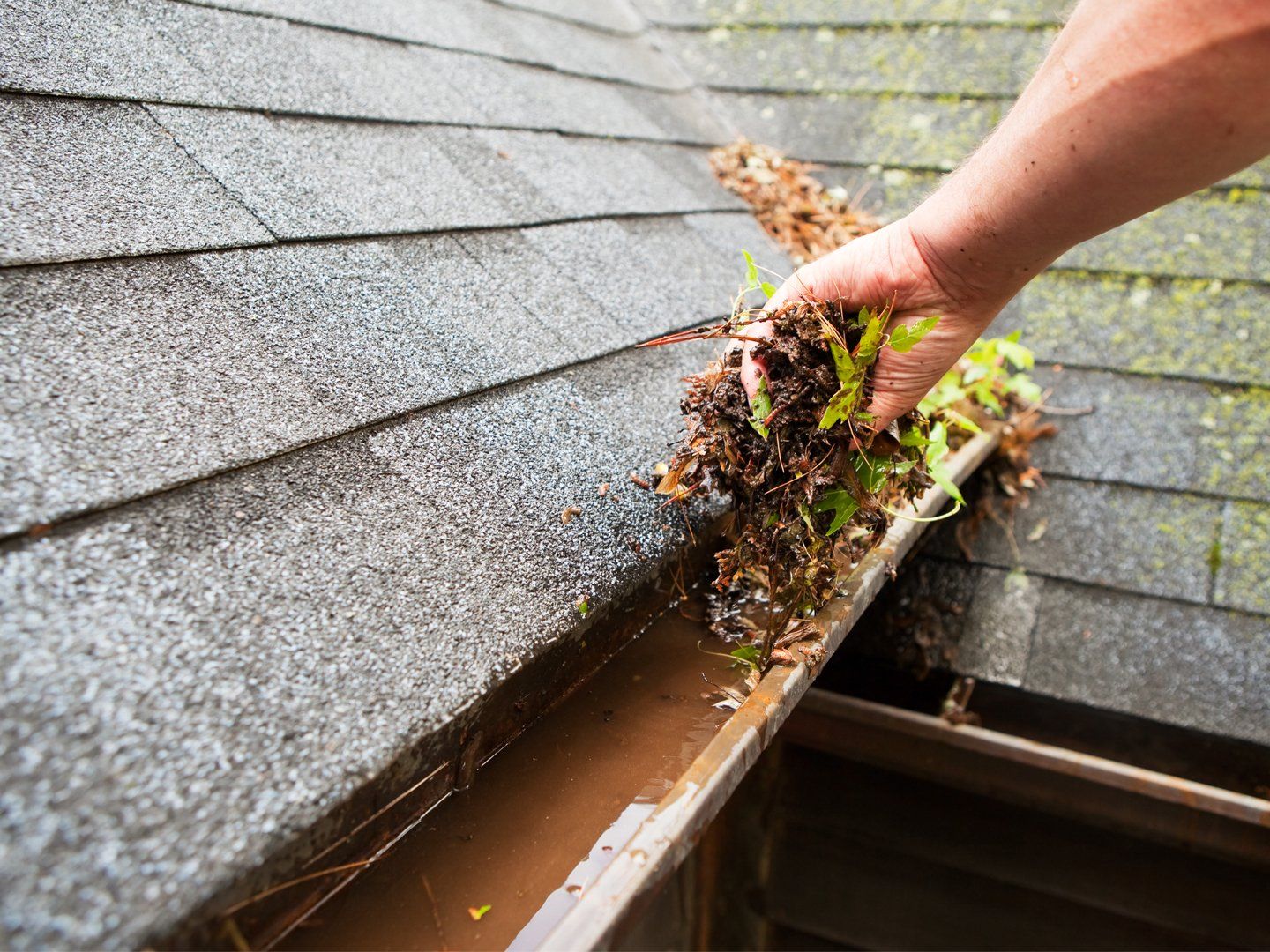 Gutter repair in Carrollton