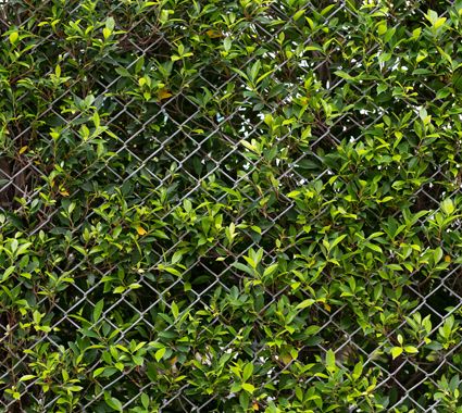 Fence installation in Carrollton