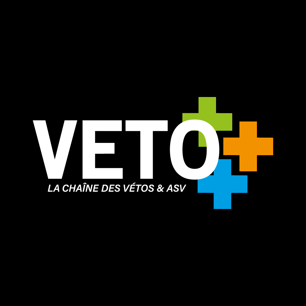 Un logo pour une clinique vétérinaire avec une croix sur fond noir.