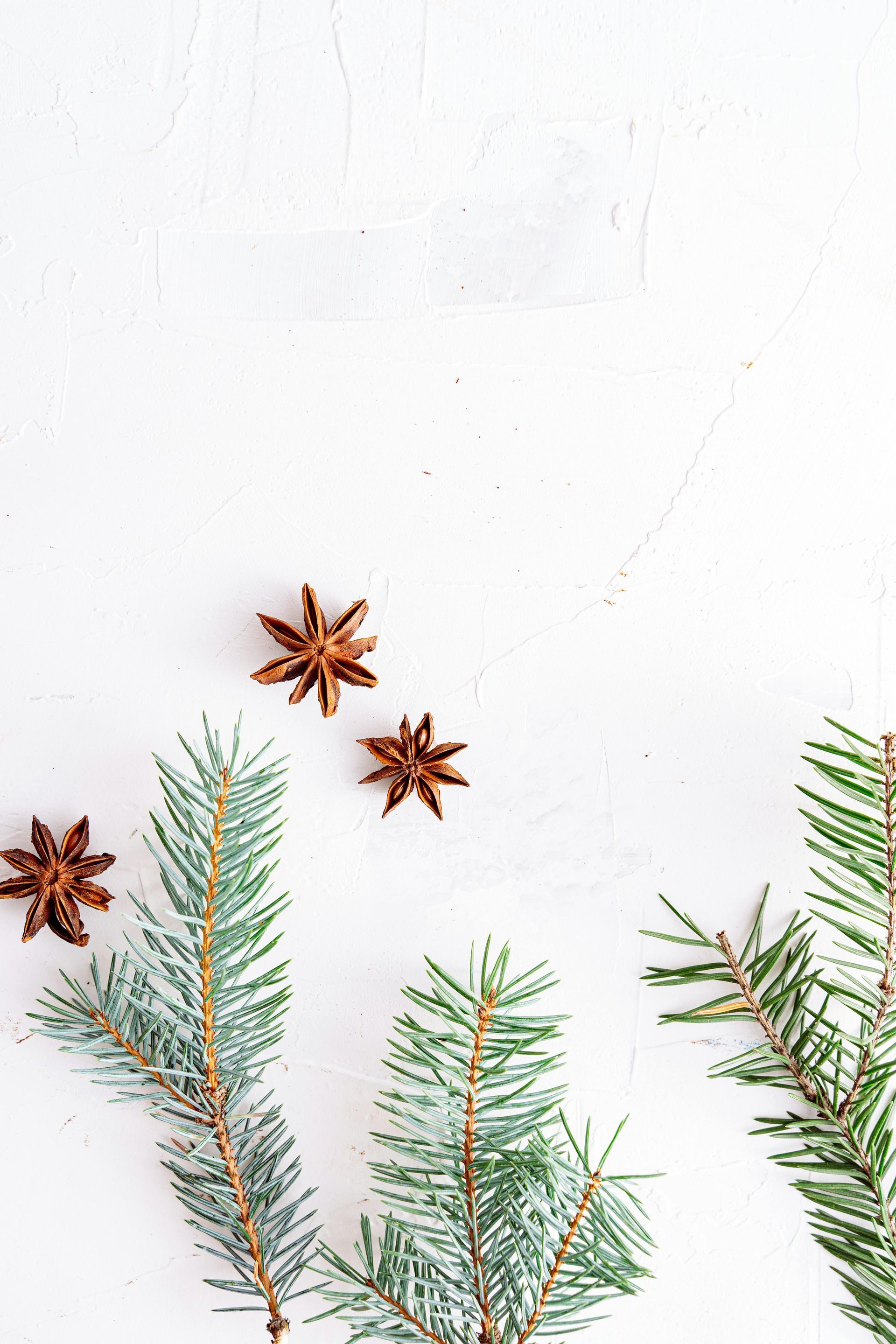 Star anise and evergreen sprigs on a white textured background.