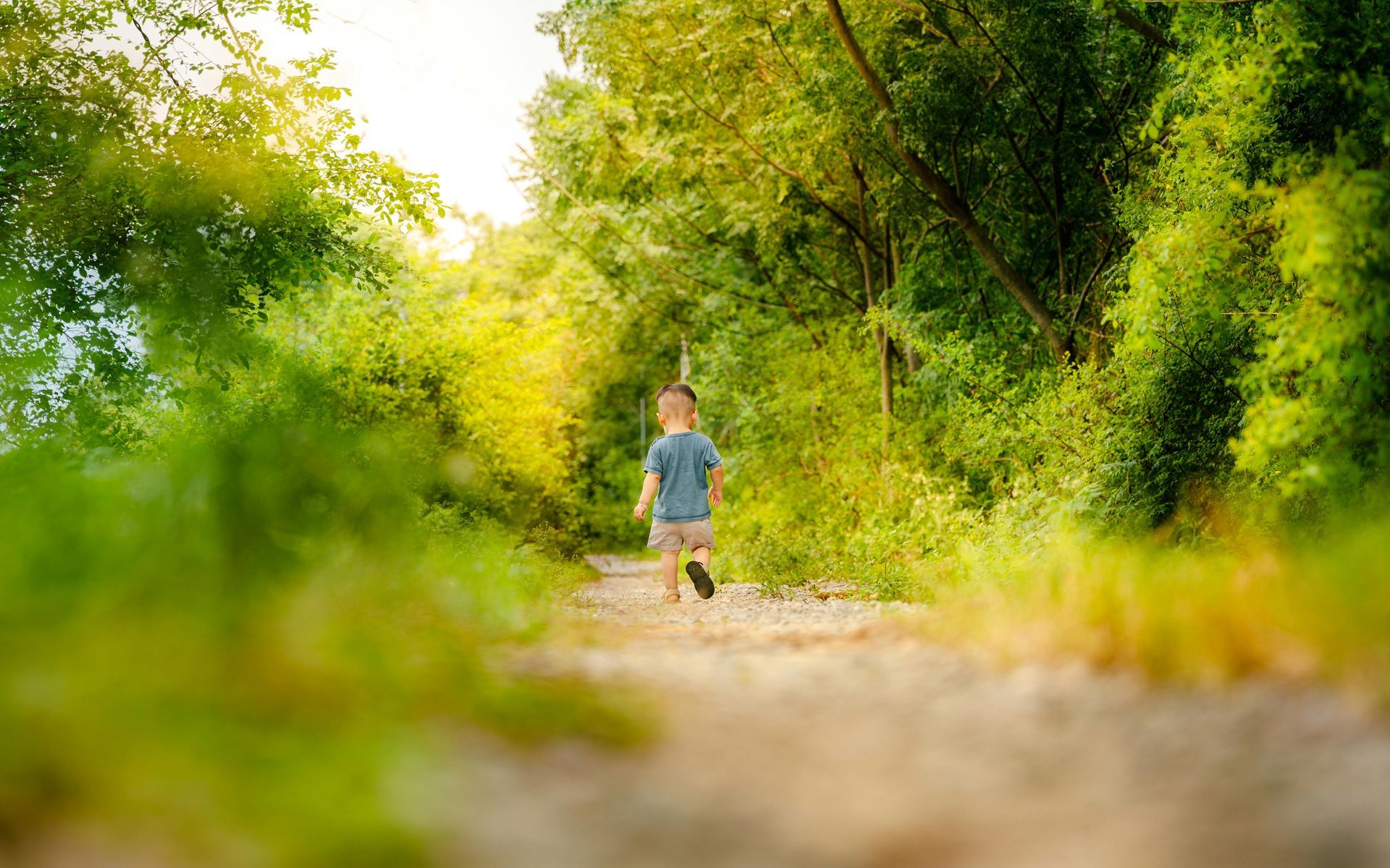 A young boy is walking down a dirt path in the woods.