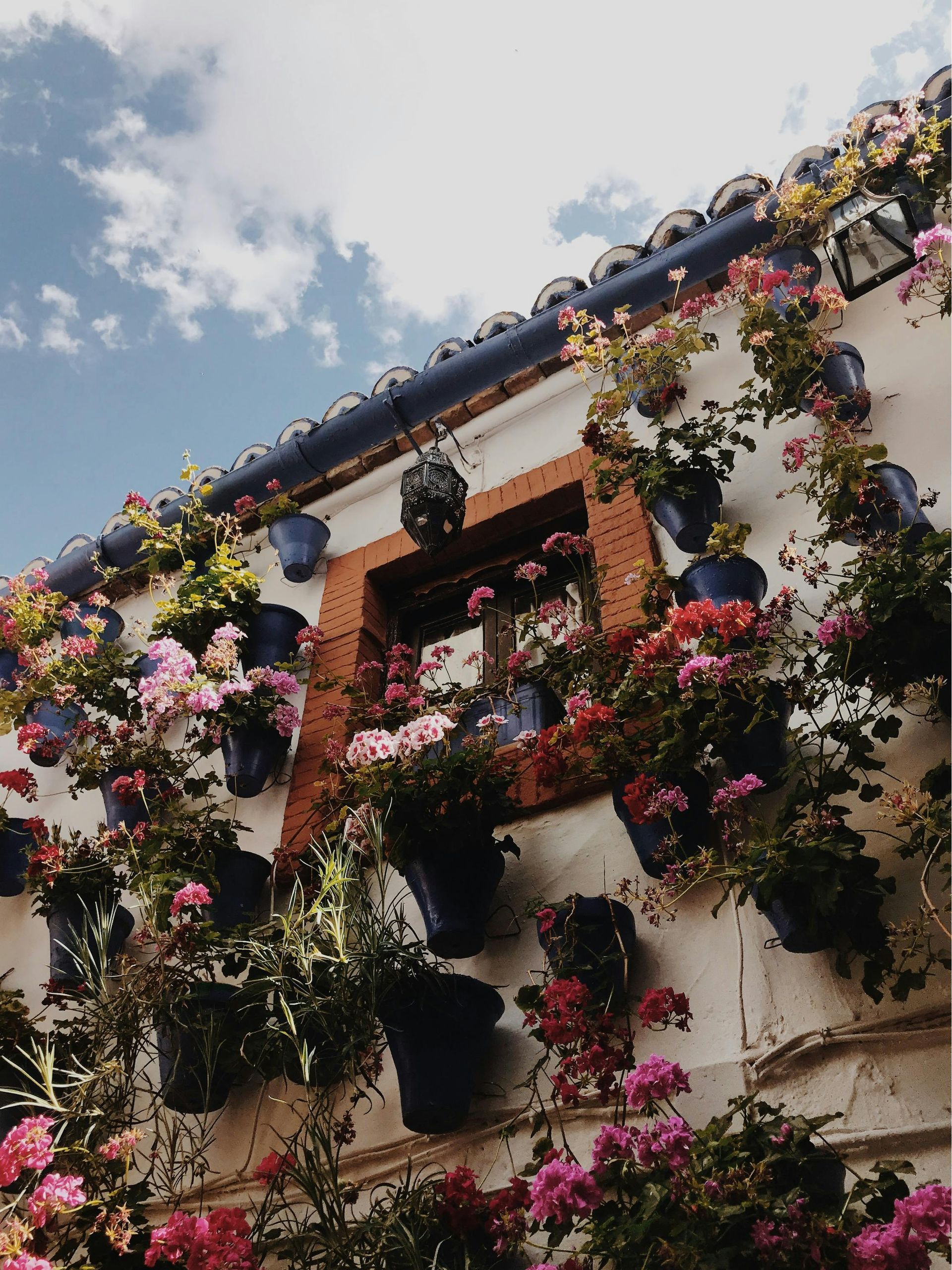 A building with lots of potted flowers on it