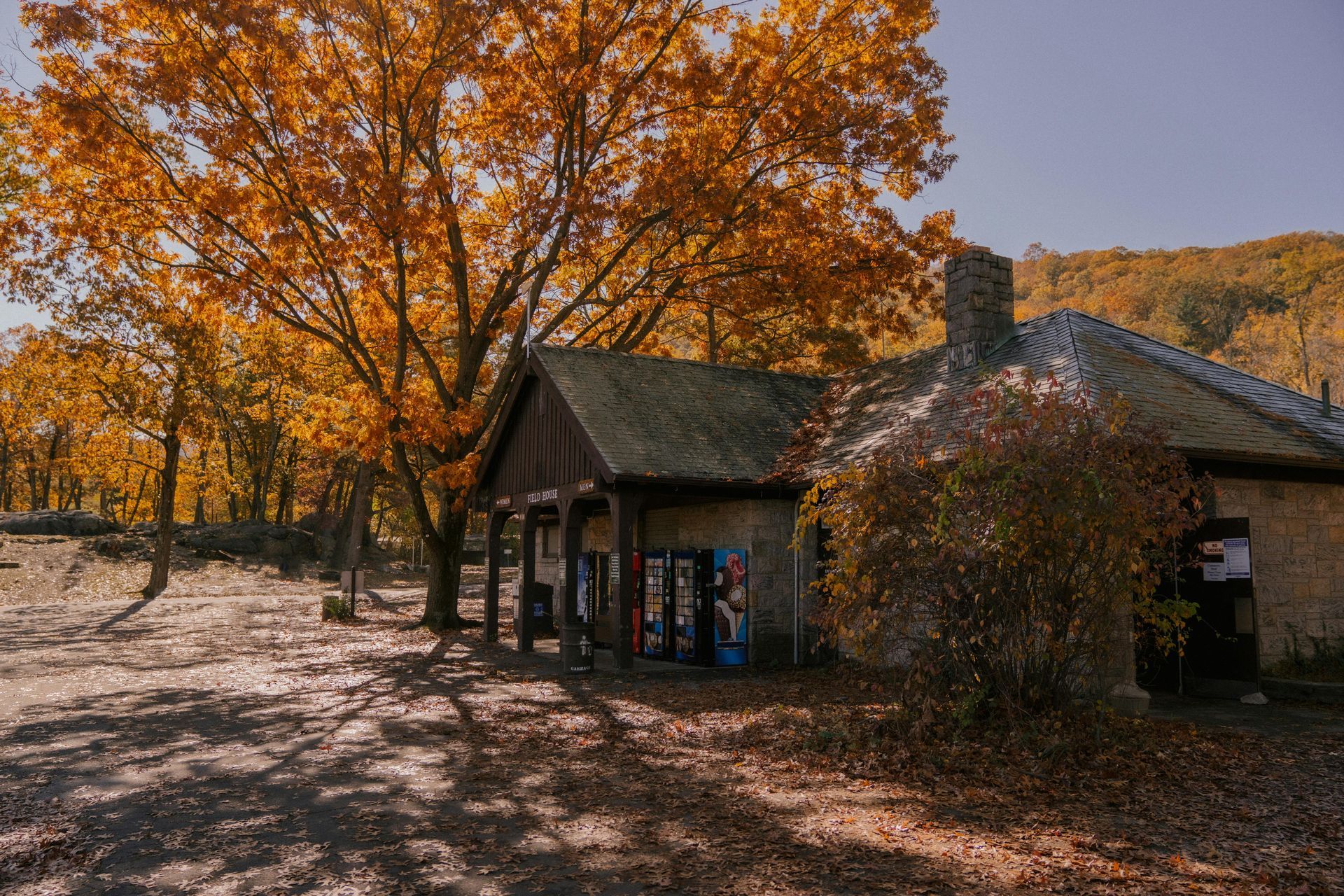 A small house in the middle of a forest with a tree in the background.