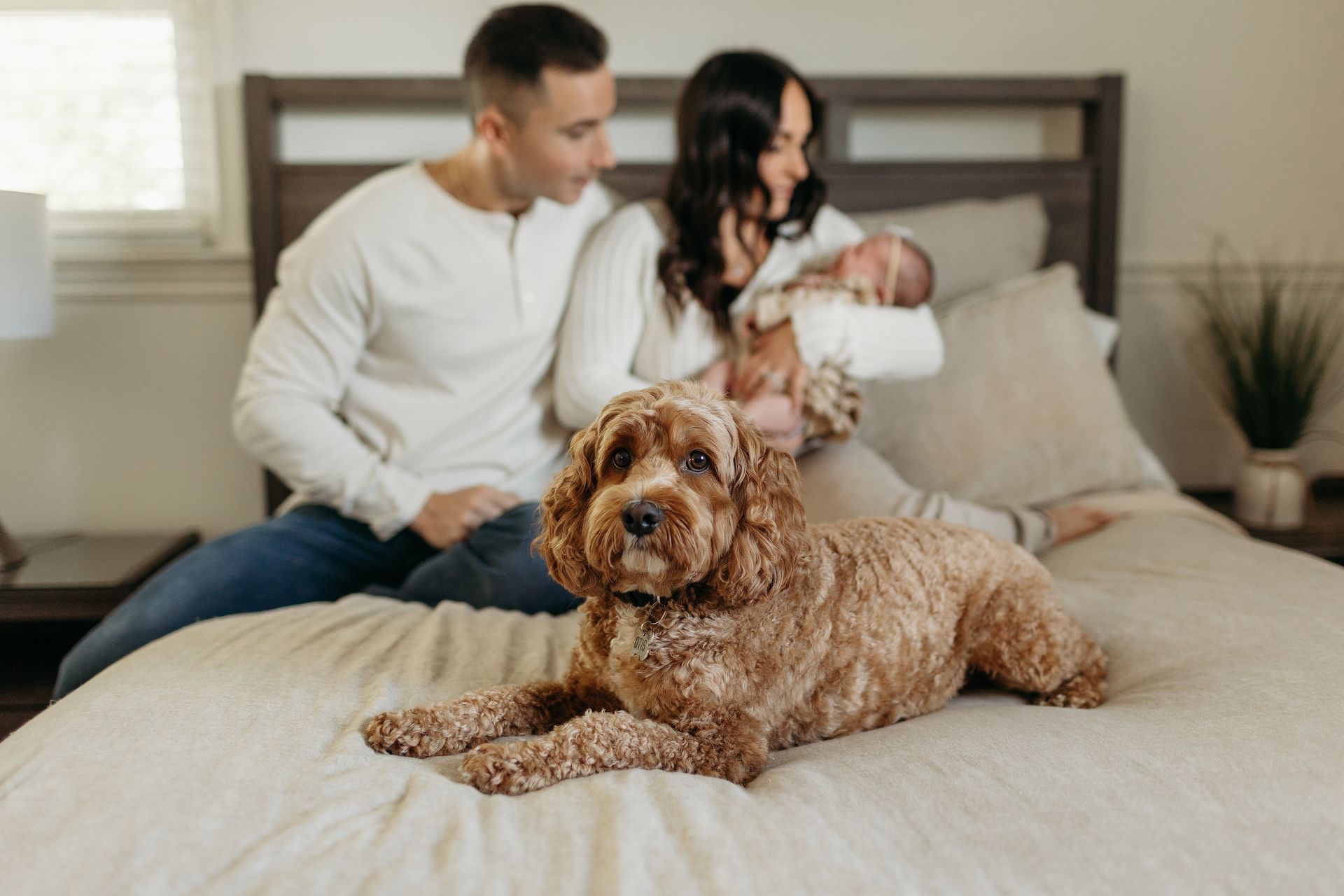 A man and woman are sitting on a bed with a dog and a newborn baby.