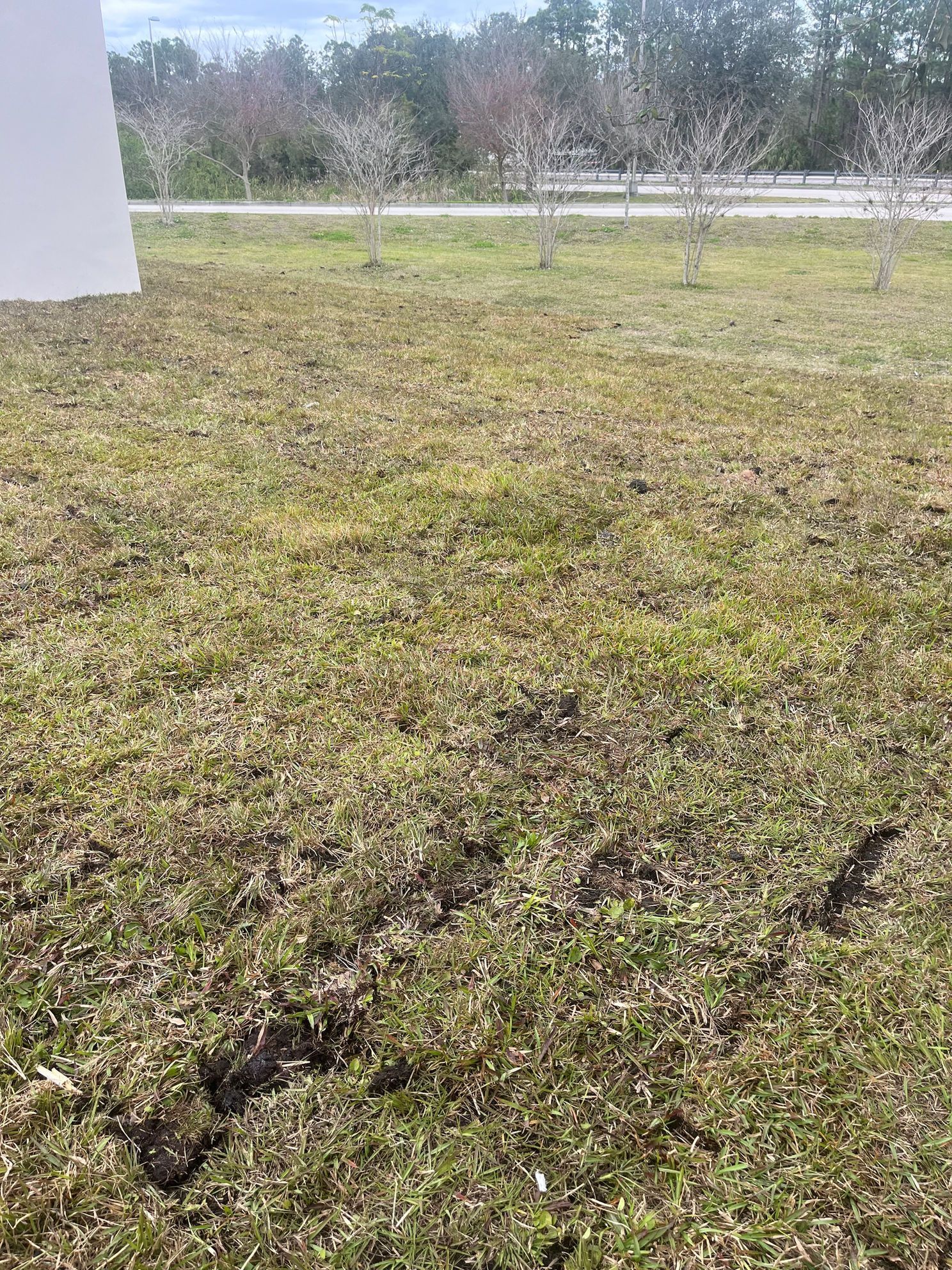 A field of grass with a white building in the background.