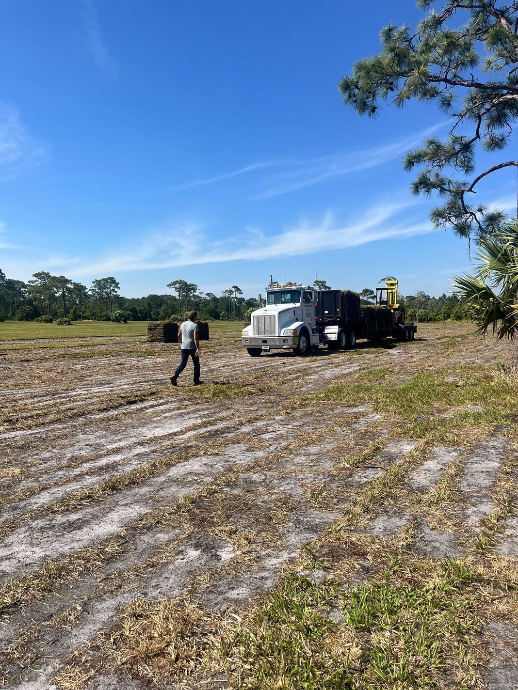 A man is walking in a field next to a truck.