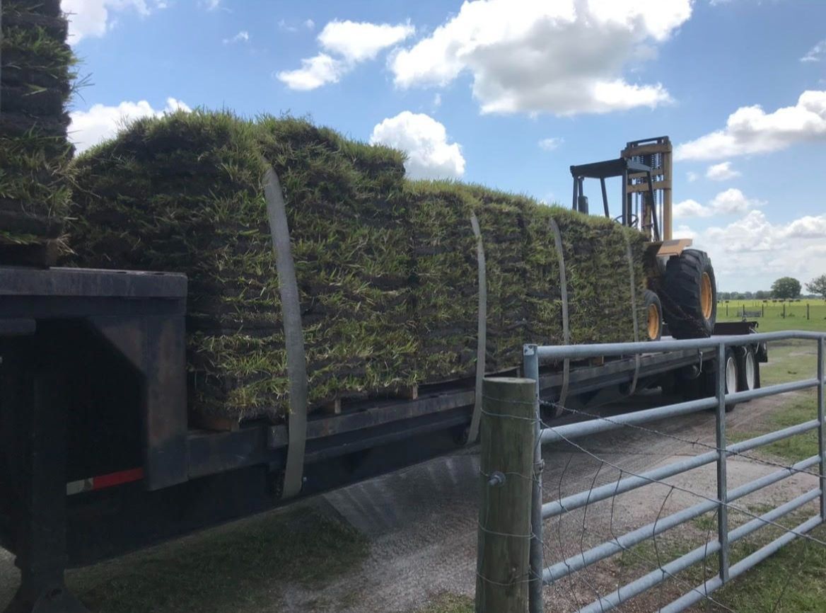 A truck is loaded with bales of grass and a forklift is behind it.