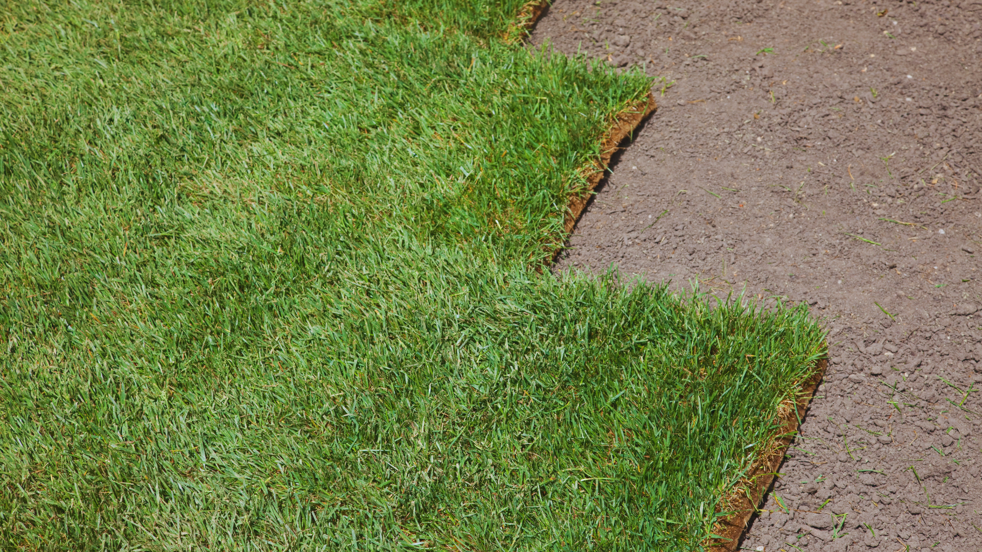 A man is rolling a roll of grass on the ground.