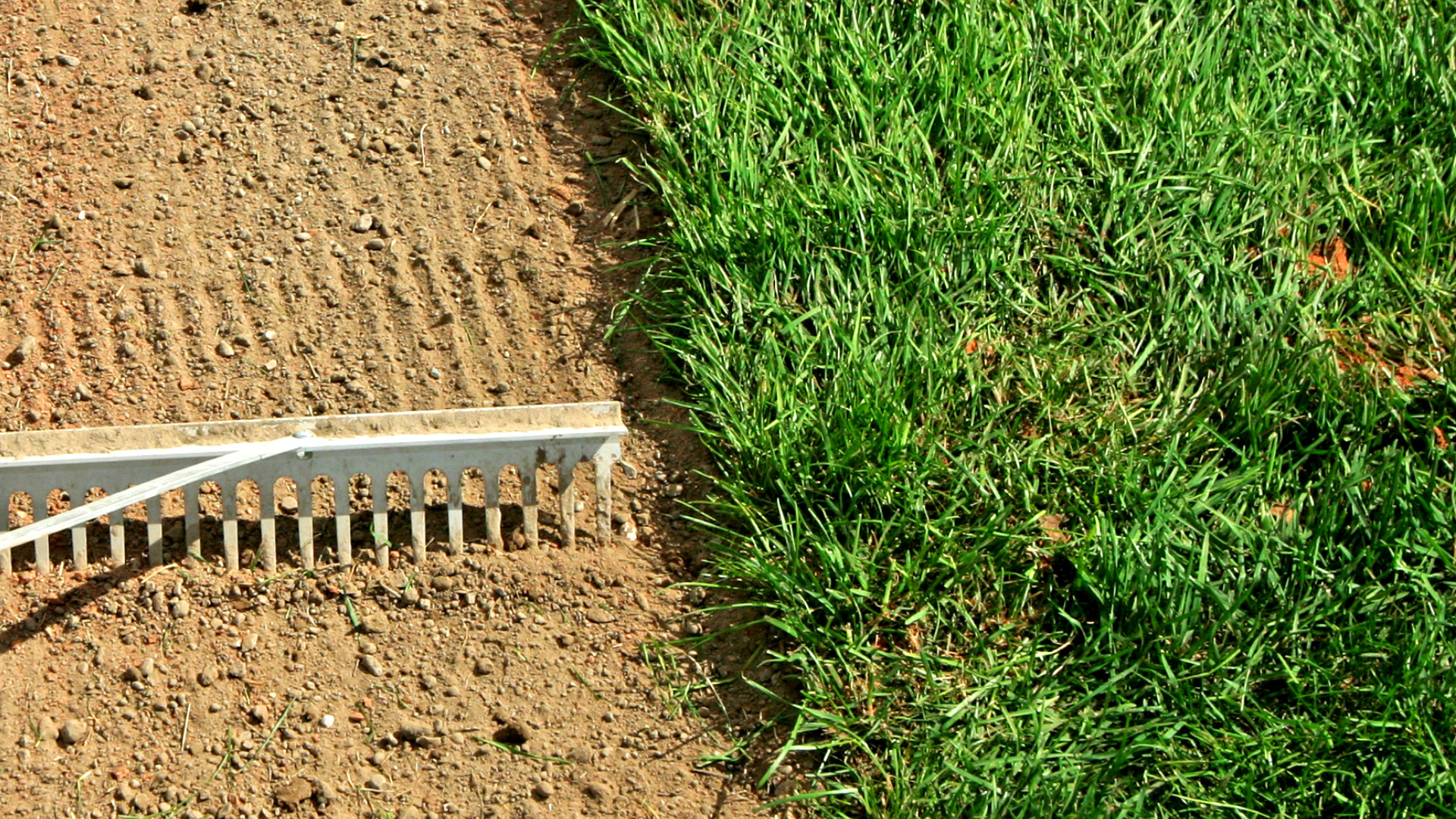 A stack of grass rolls on a wooden pallet.