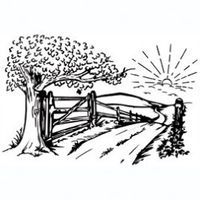 Country road leading to gate with tree and sunrise.