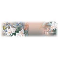 Floral border, featuring white and pink flowers, with a neutral background.