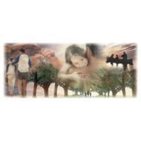 People walking in a park, embracing, and silhouettes of a family enjoying the outdoors.