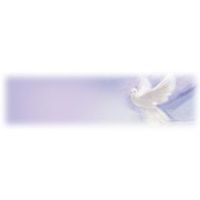 White dove in flight against a lavender-blue background.