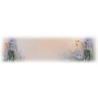 Floral banner with light purple flowers on each end and a faded background.