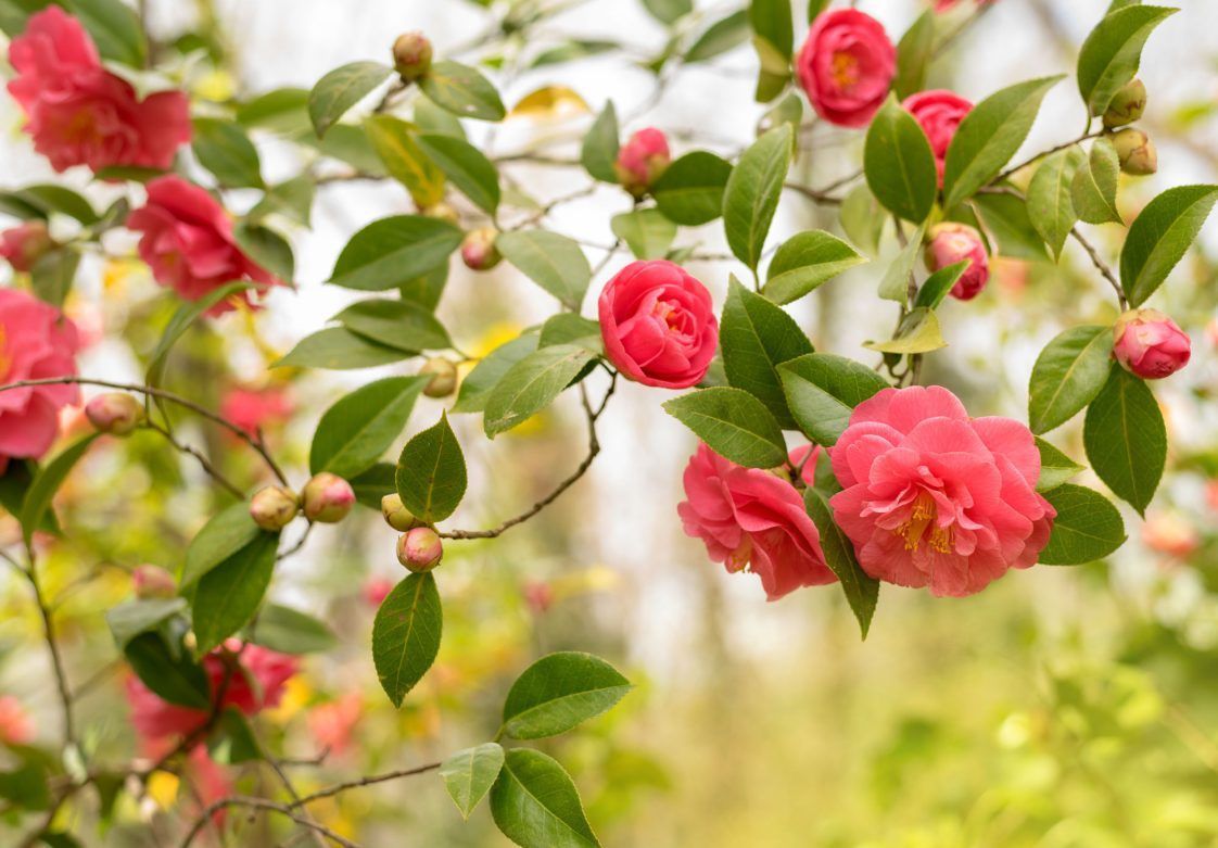 Yellow and orange floral bouquet with roses, daisies, and delicate purple accents.