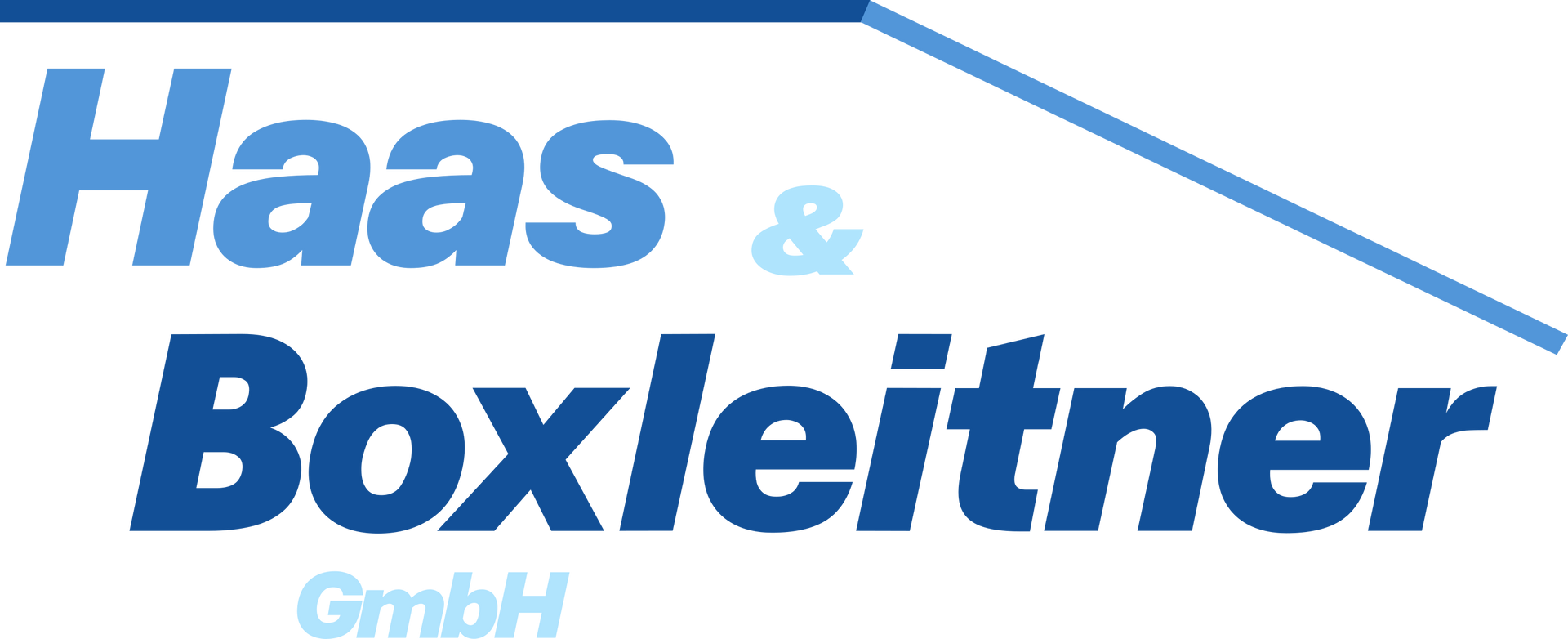 Ein blau-weißes Logo für die Haas & Boxleitner GmbH