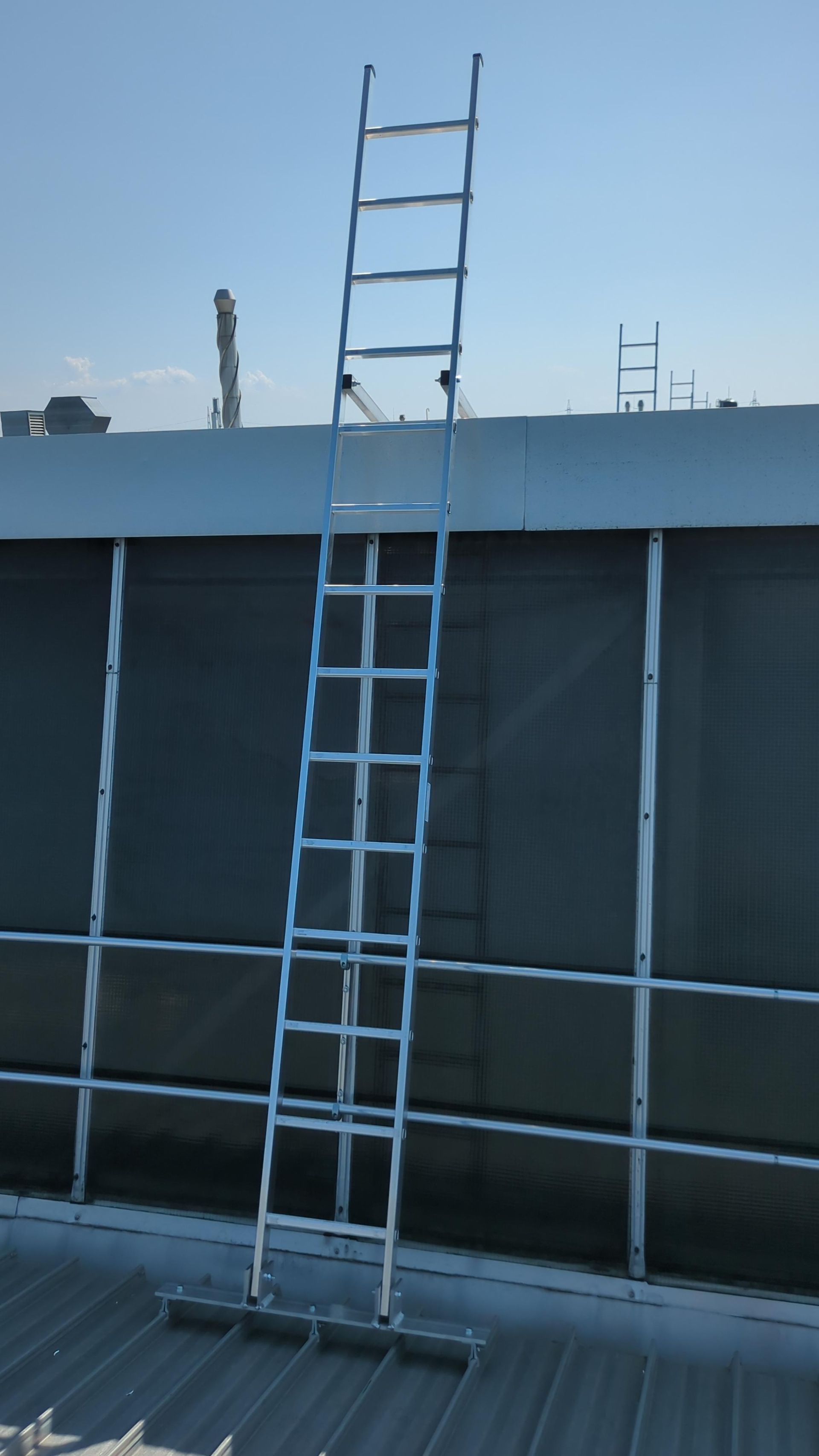 A ladder is attached to the side of a building