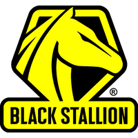 Black Stallion