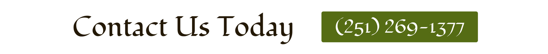 Contact Us Today call button with phone number (251) 269-1377.