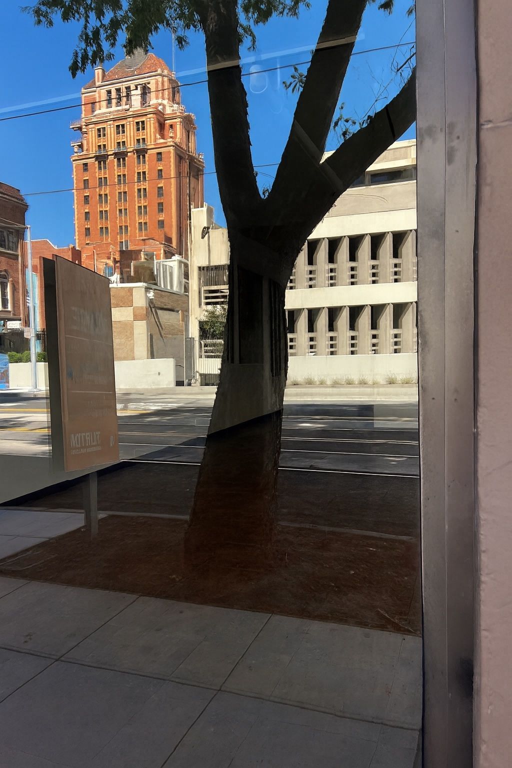 Reflection in a window of a tree, street, and brick building under a blue sky.
